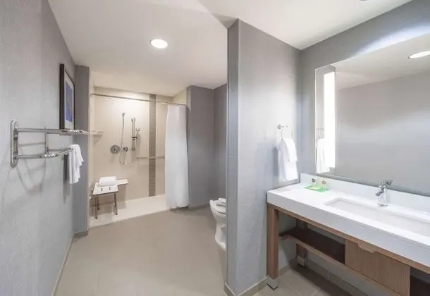 Süit, 1 En Büyük (King) Boy Yatak ve Çekyat, Engellilere Uygun (with Shower)