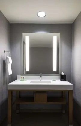 Süit, 1 En Büyük (King) Boy Yatak ve Çekyat, Engellilere Uygun (with Shower)