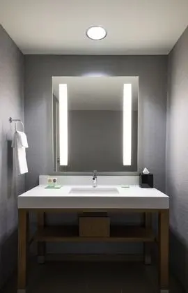Süit, 1 En Büyük (King) Boy Yatak ve Çekyat, Engellilere Uygun (with Shower)