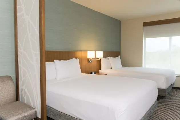 Deluxe Oda, Birden Çok Yatak, Engellilere Uygun (Shower, 2 Queen & 1 Sofa Bed)