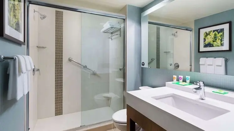 Süit, 1 En Büyük (King) Boy Yatak ve Çekyat (1 Bedroom)
