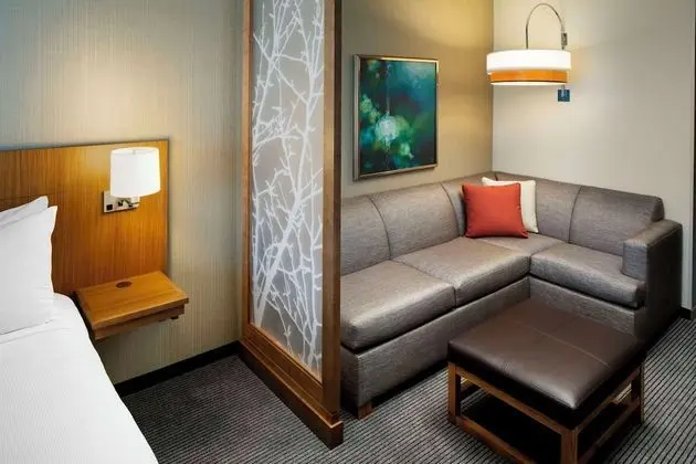 Oda, 1 En Büyük (King) Boy Yatak ve Çekyat (Specialty)