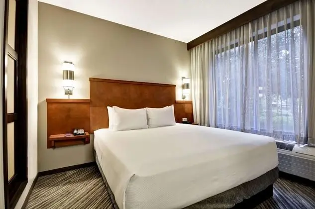 Oda, 1 En Büyük (King) Boy Yatak ve Çekyat (High Floor)