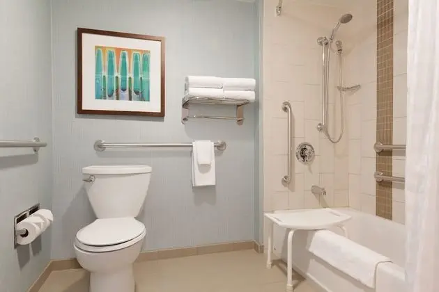 Premium Oda, Birden Çok Yatak, Engellilere Uygun, Küvet