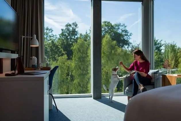 Oda, 1 En Büyük (King) Boy Yatak, Manzaralı