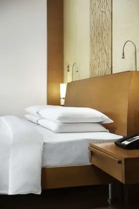Deluxe Oda, 1 En Büyük (King) Boy Yatak (Hyatt)