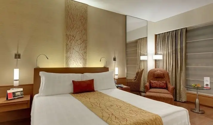 Deluxe Oda, 1 En Büyük (King) Boy Yatak (Hyatt)