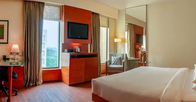 Deluxe Oda, 1 En Büyük (King) Boy Yatak (Hyatt)