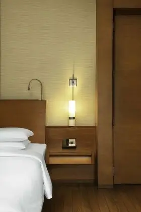 Deluxe Oda, 1 En Büyük (King) Boy Yatak (Hyatt)