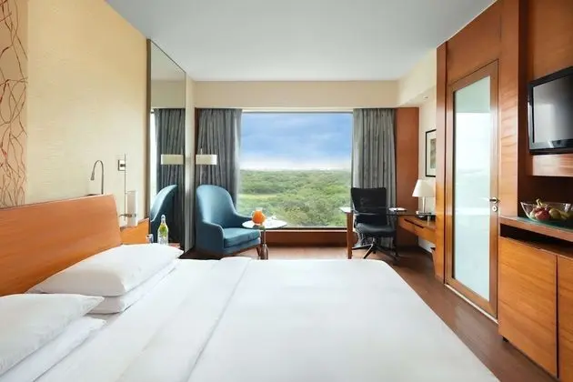 Oda, 1 En Büyük (King) Boy Yatak (Hyatt)