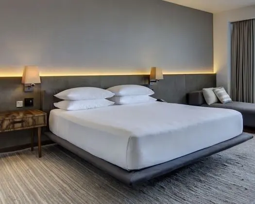 Süit, 1 En Büyük (King) Boy Yatak (Regency Suite)