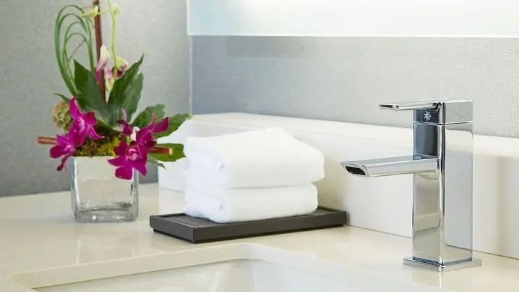 Villa, 1 En Büyük (King) Boy Yatak ve Çekyat (Suite)