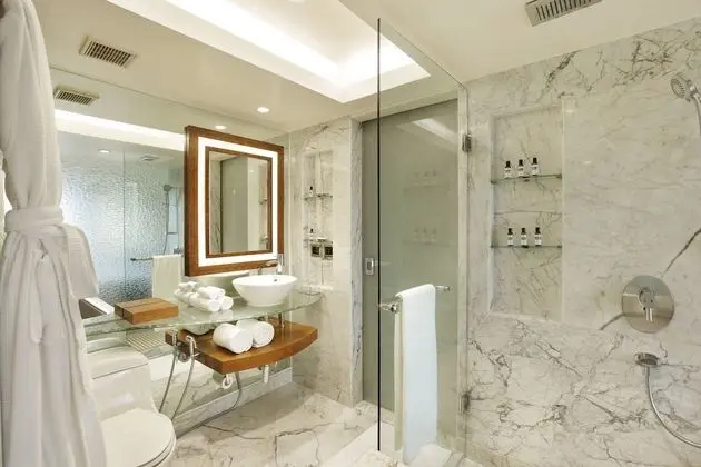 Hyatt King Room with Pool View