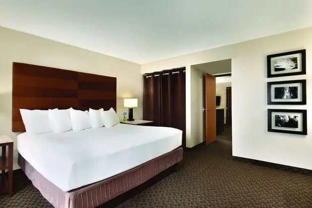 Executive Oda, 1 Yatak Odası (1 King Bed)