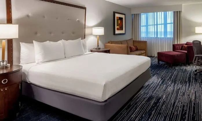 Guest Room, Standard Oda, 1 En Büyük (King) Boy Yatak
