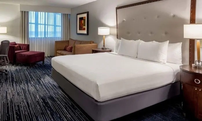 Guest Room, Standard Oda, 1 En Büyük (King) Boy Yatak
