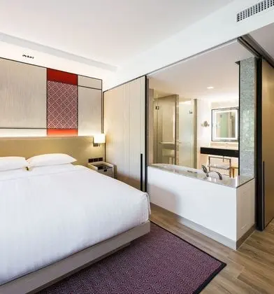 Deluxe Oda (1 King Bed)