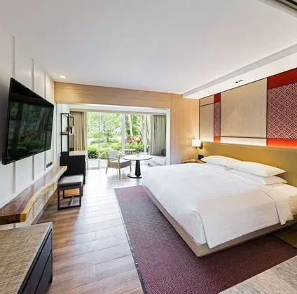 Deluxe Oda (1 King Bed)