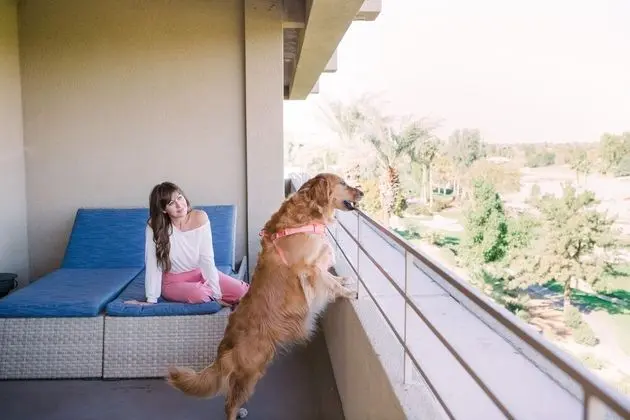 Çatı Katı Süiti (Penthouse) (Suite)