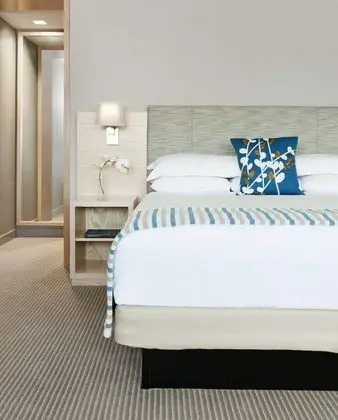 Stüdyo Süit