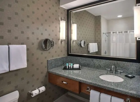 Oda, 1 En Büyük (King) Boy Yatak, Engellilere Uygun (Shower)