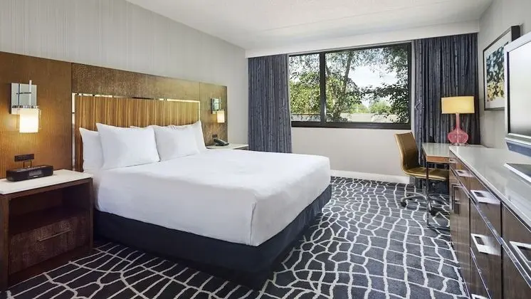 Oda, 1 En Büyük (King) Boy Yatak