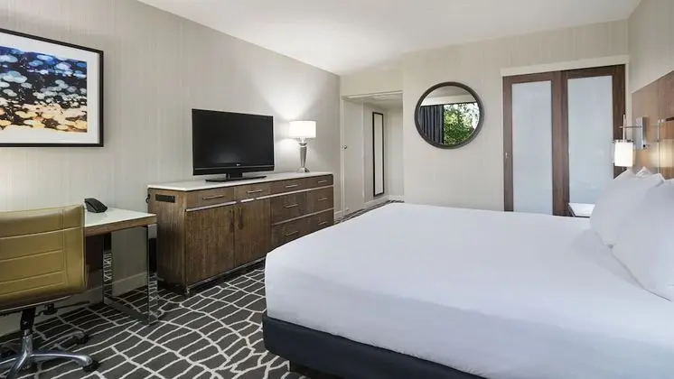 Oda, 1 En Büyük (King) Boy Yatak