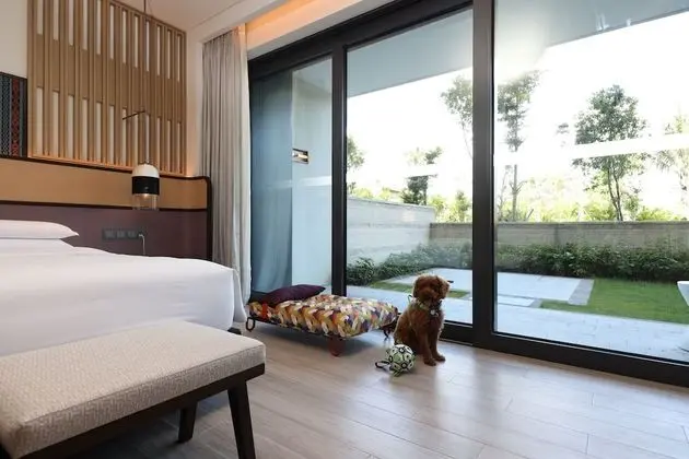 Deluxe Oda, 1 En Büyük (King) Boy Yatak (Dog Friendly w Courtyard)