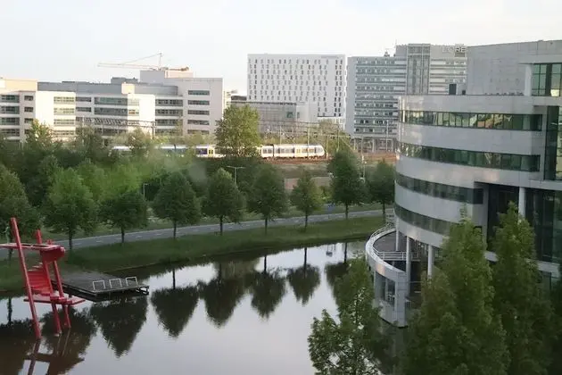 Panoramic Süit