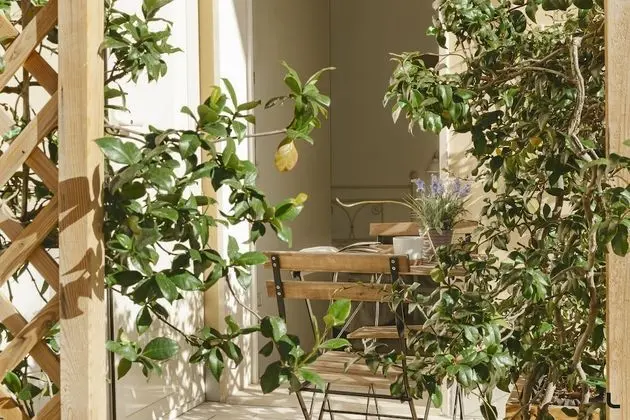 Tek Büyük Yataklı Oda, Veranda