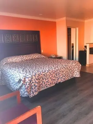 Standard Oda, 1 En Büyük (King) Boy Yatak, Sigara İçilmez