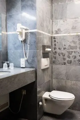 Executive Tek Büyük Yataklı Oda (Plus)