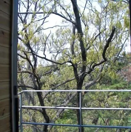 B3 Room - Lake view