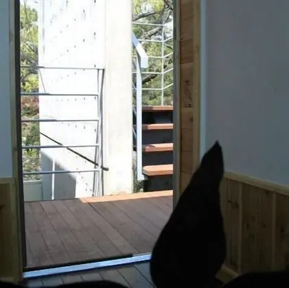 Family (B1/B2) Room - Lake view