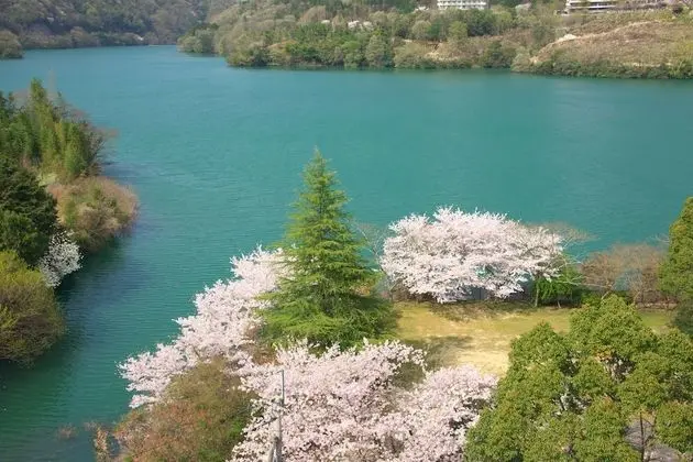 İki Ayrı Yataklı Oda, Sigara İçilmez