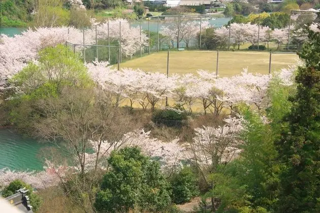 İki Ayrı Yataklı Oda, Sigara İçilmez