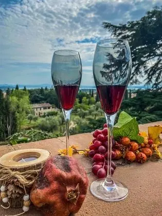 Deluxe Tek Büyük Yataklı Oda (+ SPA)