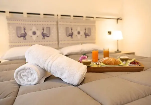 Superior Tek Büyük veya İki Ayrı Yataklı Oda (Orchidea)
