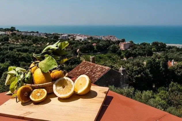 Tek Büyük Yataklı Oda, Balkon