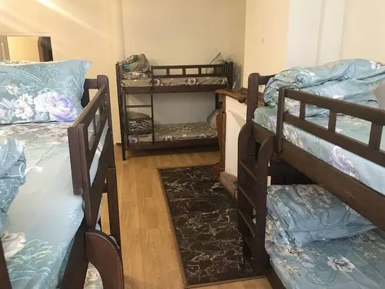 Economy Ortak Ranzalı Oda, Karma Ranzalı Oda, Ortak Banyo (1 bed in 12 bed dorm)