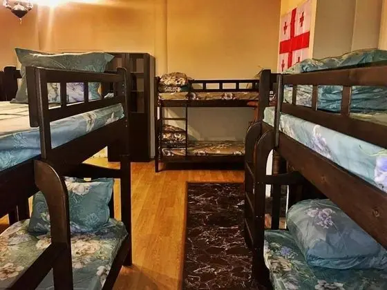 Economy Ortak Ranzalı Oda, Karma Ranzalı Oda, Ortak Banyo (1 bed in 12 bed dorm)