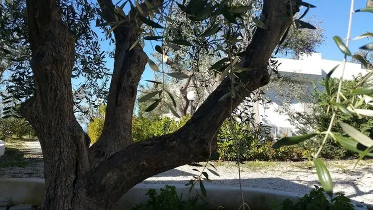 Apart Daire, 2 Yatak Odası, Teras, Bahçe Manzaralı