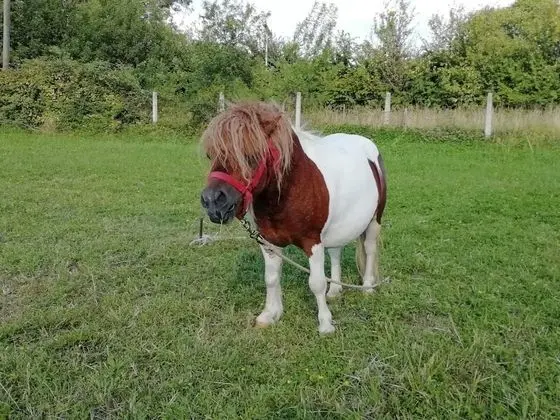 Villa, Sigara İçilebilir