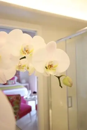 Junior Süit, Balkon, Şehir Manzaralı