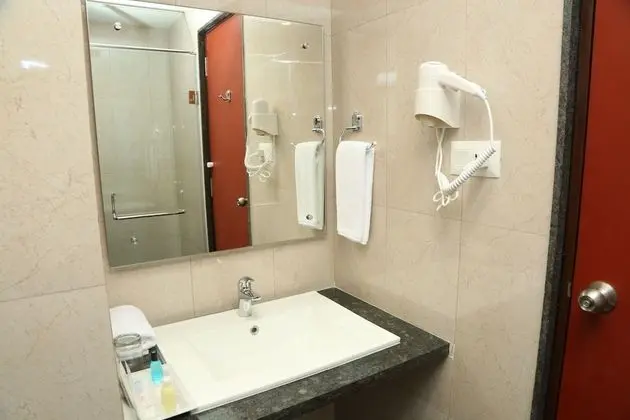 Deluxe Oda, 1 Yatak Odası, Engellilere Uygun, Şehir Manzaralı