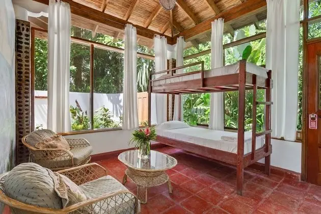 Jungle Suite