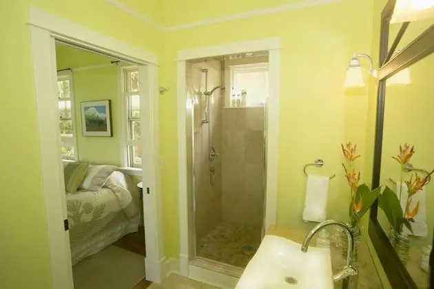 Classic Oda, Özel Banyo (PALMS ROOM)