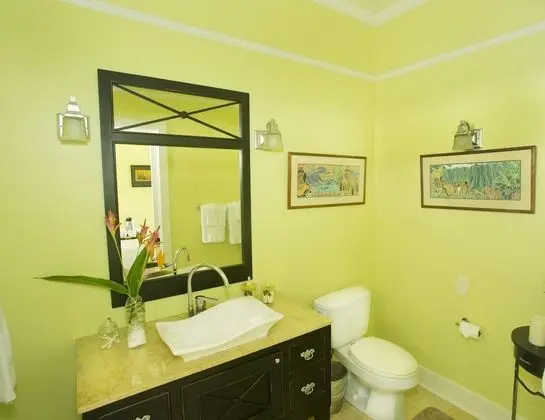 Classic Oda, Özel Banyo (PALMS ROOM)