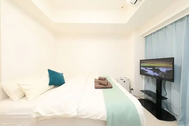 Apart Daire (One-Bedroom)
