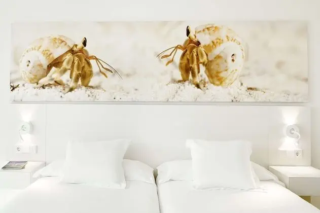 Tek Büyük Yataklı Oda, Balkon, Bahçe Manzaralı